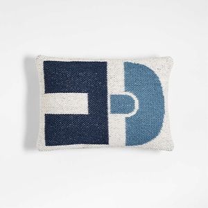 Crate and Barrel pillow! With insert!